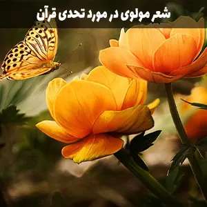 شعر مولوی در مورد تحدی قرآن