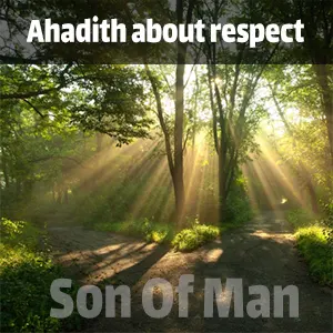 Ahadith about respect