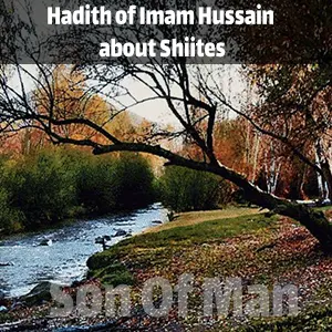 Hadith of Imam Hussain about Shiites