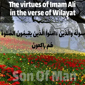 The virtues of Imam Ali in the verse of Wilayat