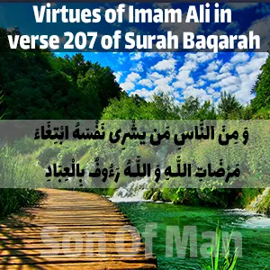 Virtues of Imam Ali in verse 207 of Surah Baqarah