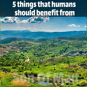 5 things that humans should benefit from