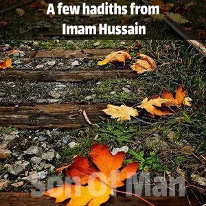 A few hadiths from Imam Hussain
