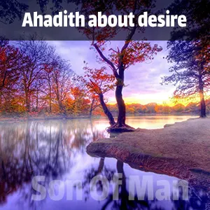 Ahadith about desire