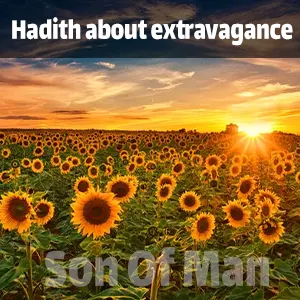 Hadith about extravagance