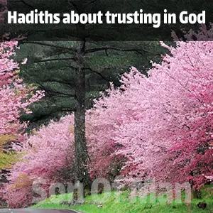 Hadiths about trusting in God
