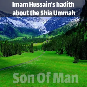 Imam Hussain's hadith about the Shia Ummah