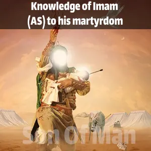 Knowledge of Imam (AS) to his martyrdom