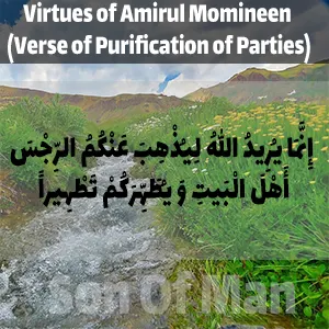 Virtues of Amirul Momineen (Verse of Purification of Parties)