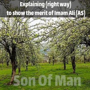 Explaining (right way) to show the merit of Imam Ali (AS)
