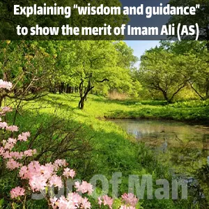 Explaining “wisdom and guidance” to show the merit of Imam Ali (AS)