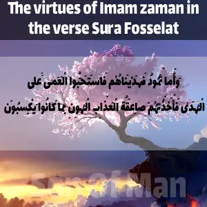 The virtues of Imam zaman in the verse Sura Fosselat